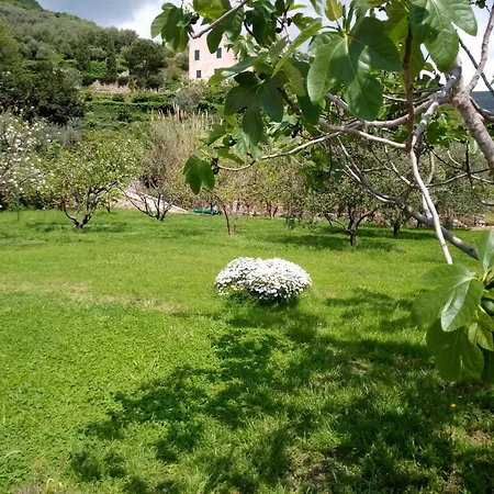 Papaveri Rossi Appartement *