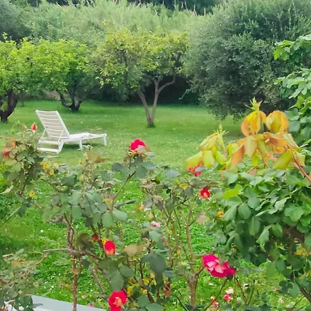 Apartment Papaveri Rossi *